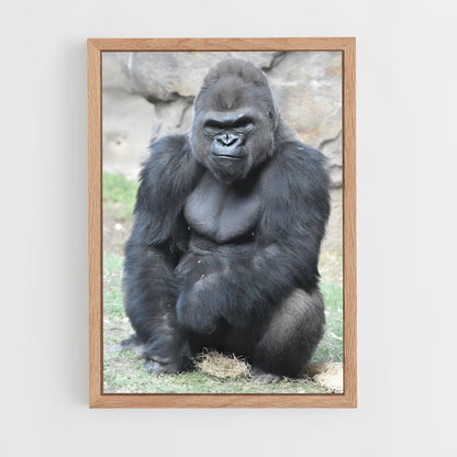 gorilla-1 cadre Bois clair