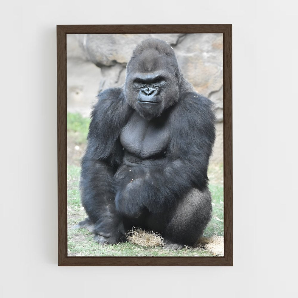 gorilla-1 cadre Bois foncé