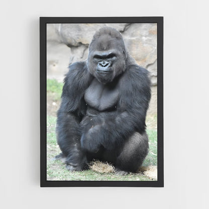 gorilla-1 cadre Noir