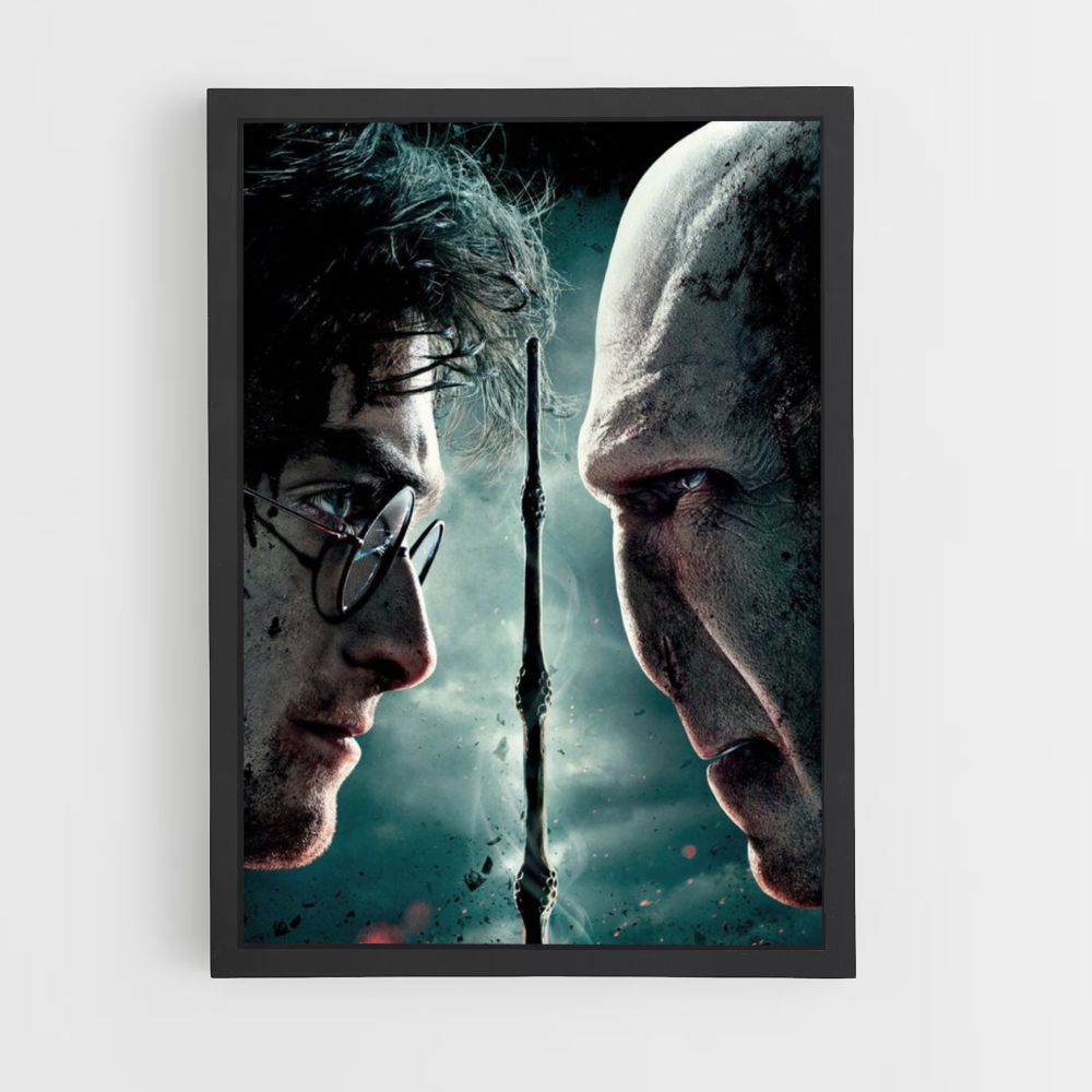 Poster Harry vs Vol de Mort