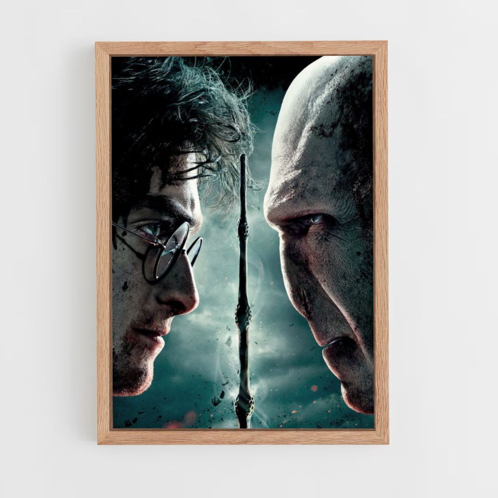 Poster Harry vs Vol de Mort