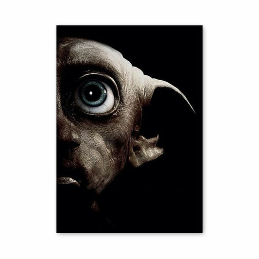 Poster Dobby