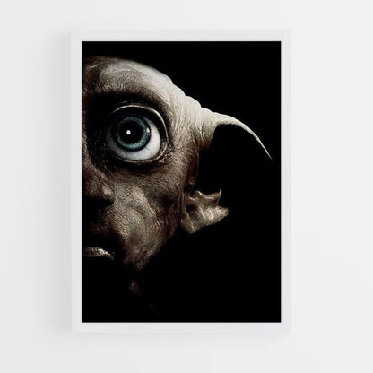 Poster Dobby