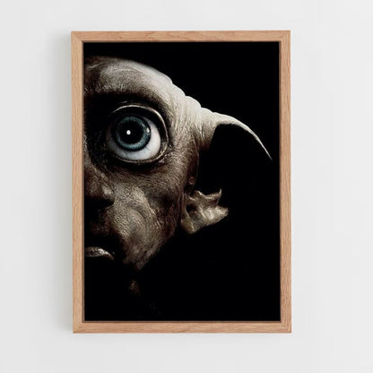 Poster Dobby