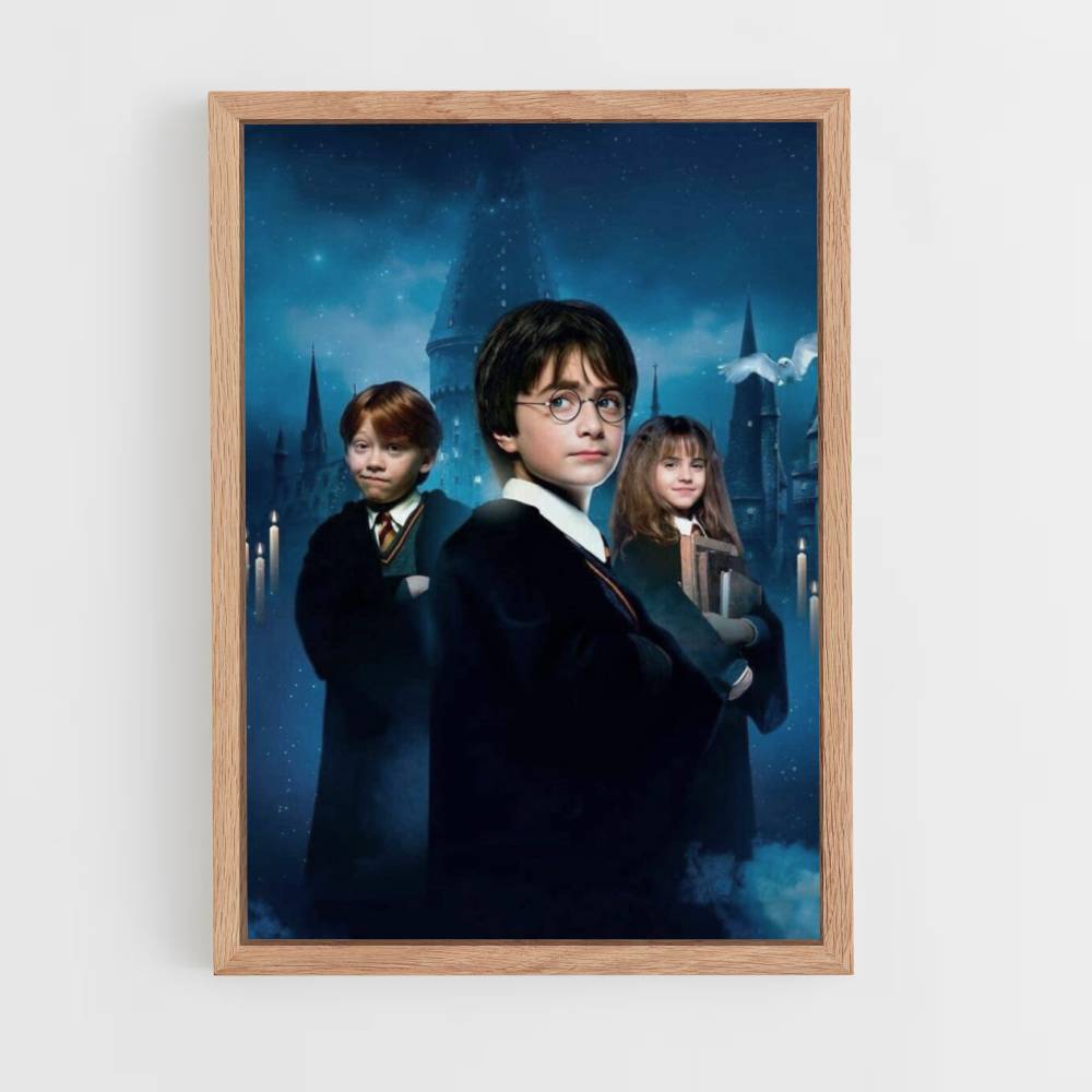 Poster Harry Ron Hermione