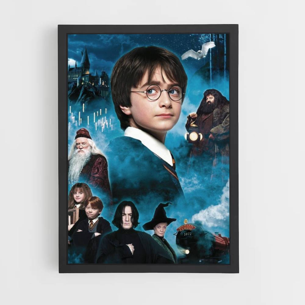 Poster Personnages Harry Potter