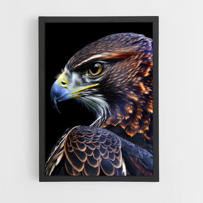 hawk-2 cadre Noir