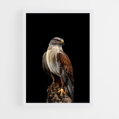 hawk-5 cadre Blanc