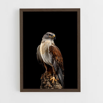 hawk-5 cadre Bois foncé
