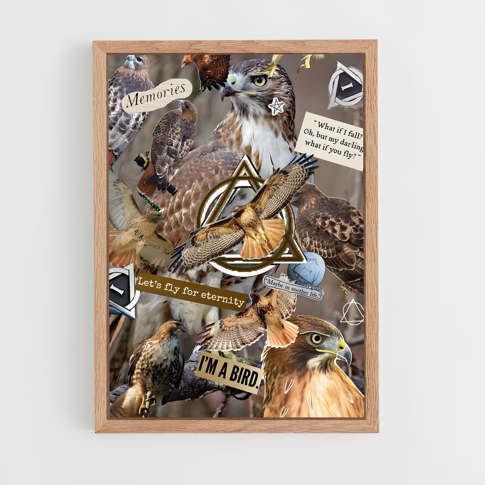 hawk-8 cadre Bois clair