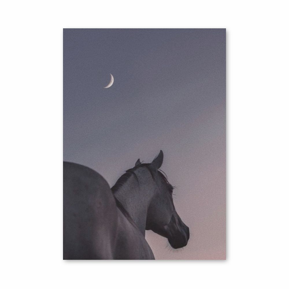 Poster Cheval Lune