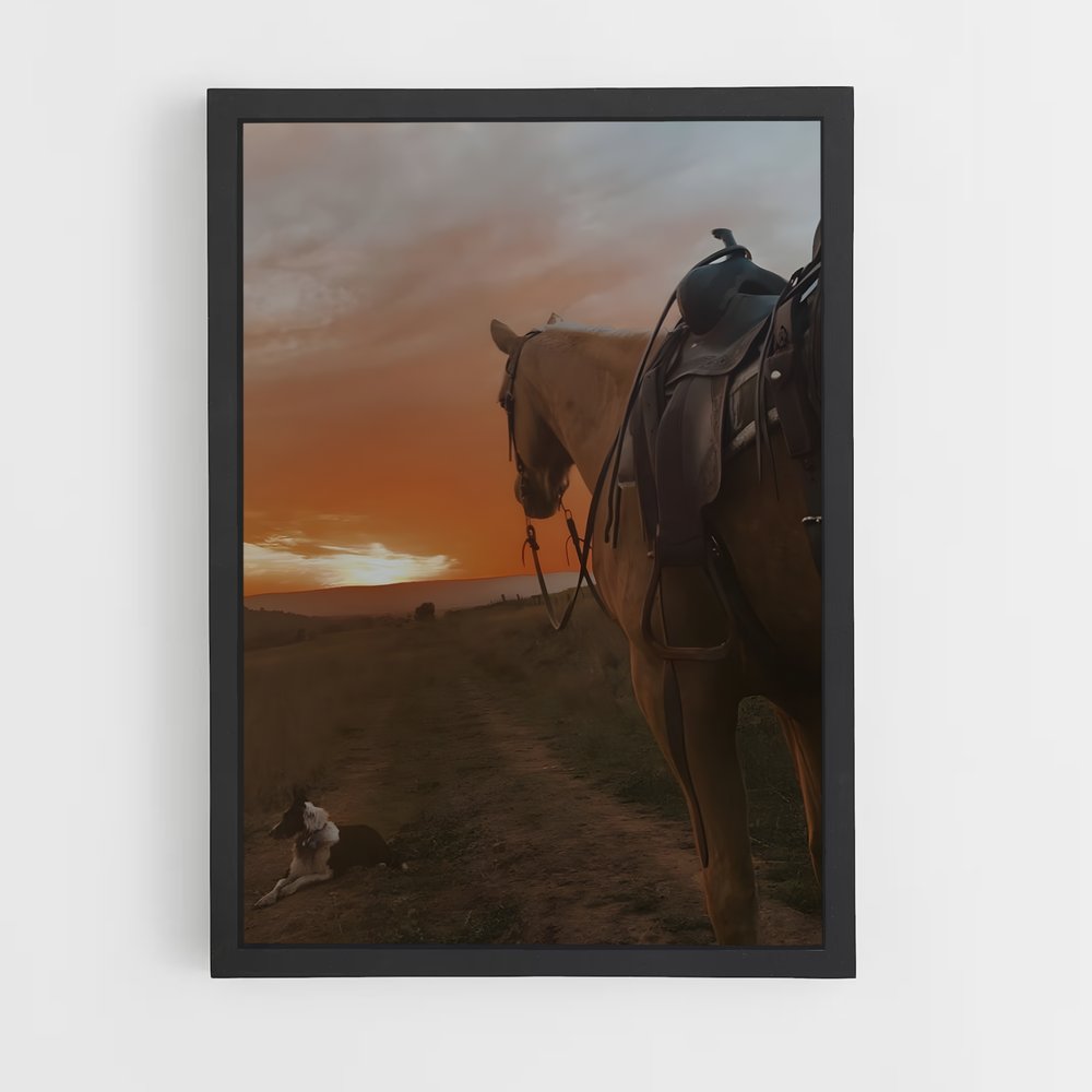 horse-3 cadre Noir