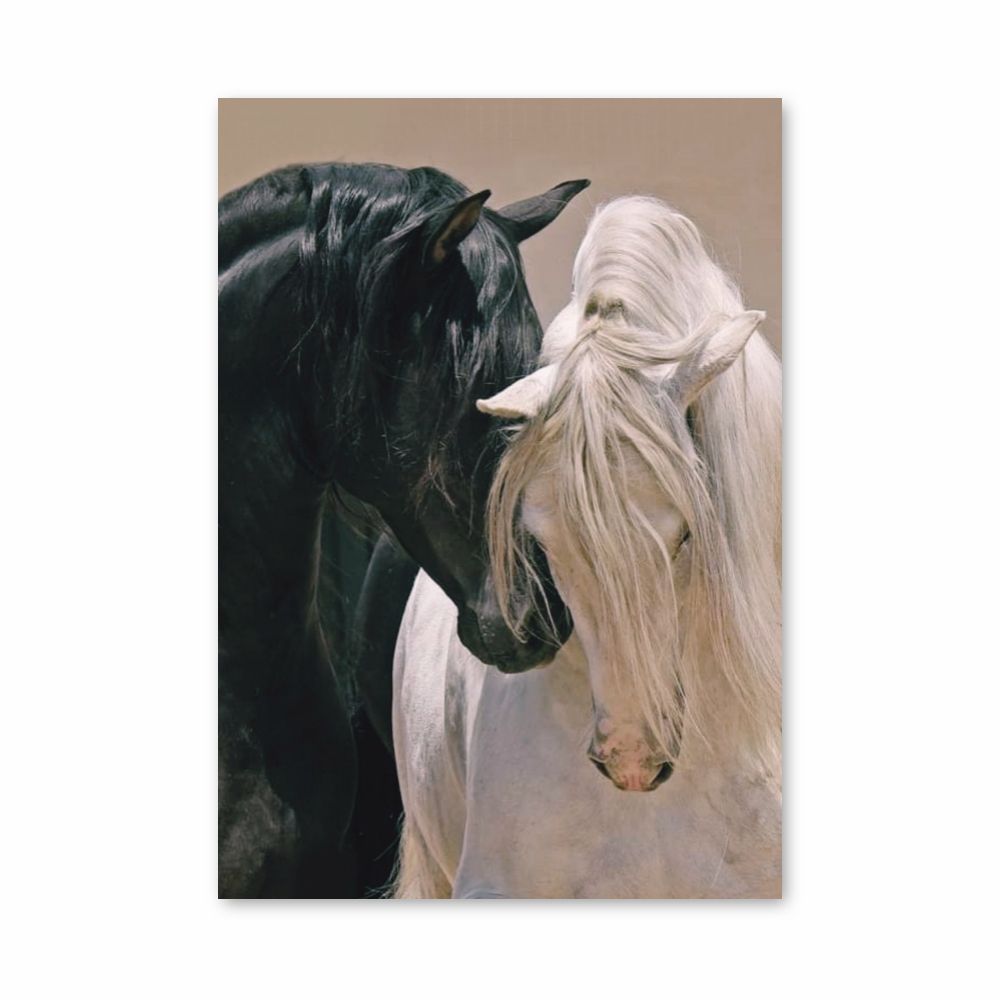 Poster Chevaux Aesthetic