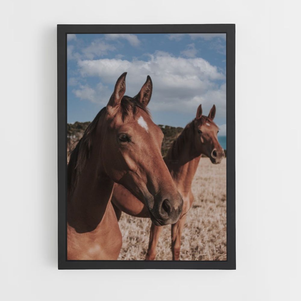 Poster Chevaux Bruns