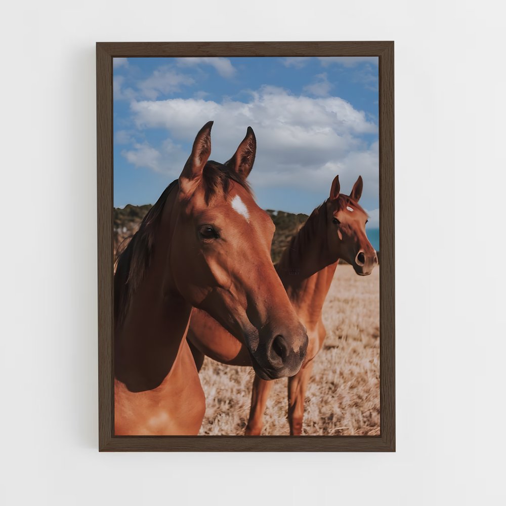 horse-6 cadre Bois foncé