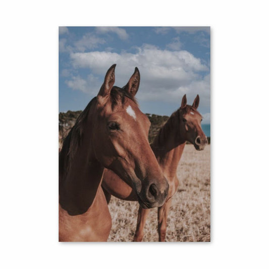 Poster Chevaux Bruns