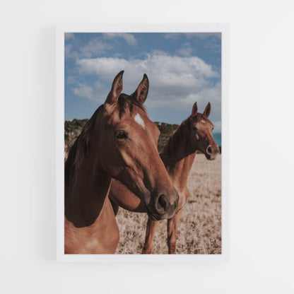 Poster Chevaux Bruns