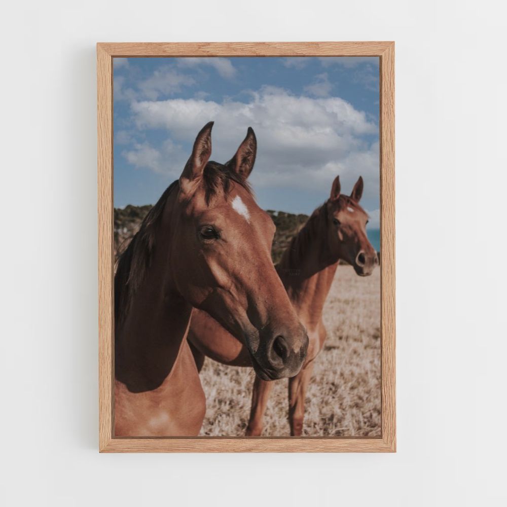 Poster Chevaux Bruns