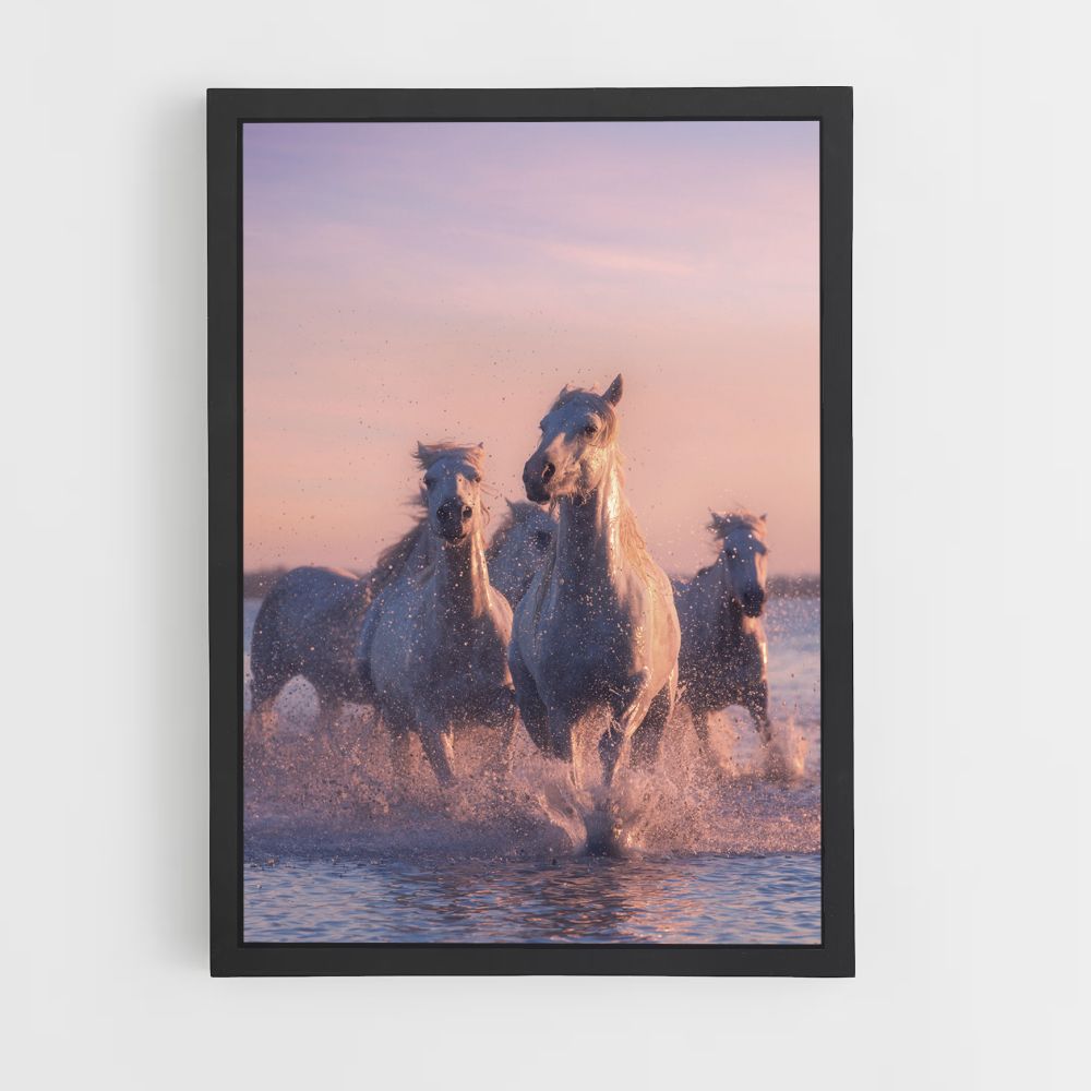 Poster Chevaux Blancs