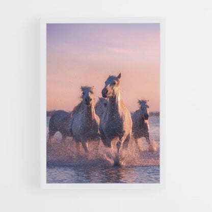 Poster Chevaux Blancs