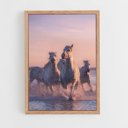 Poster Chevaux Blancs