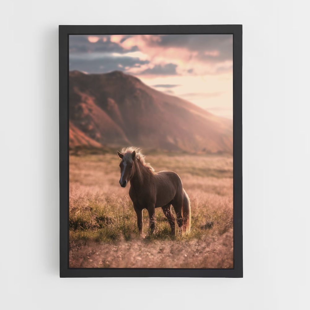 Poster Cheval Nature