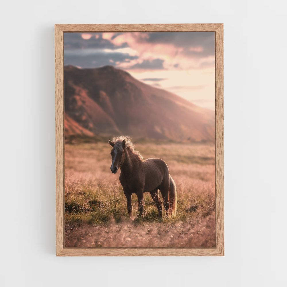 Poster Cheval Nature