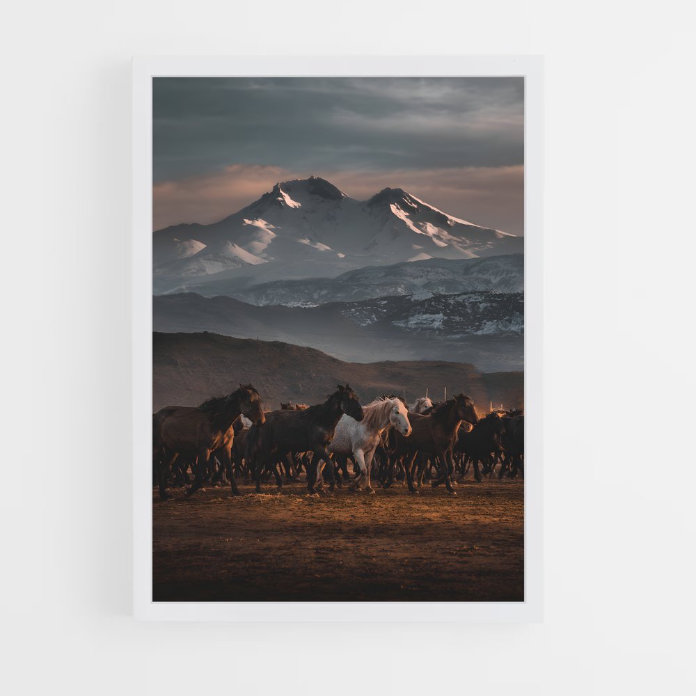 horse-9 cadre Blanc