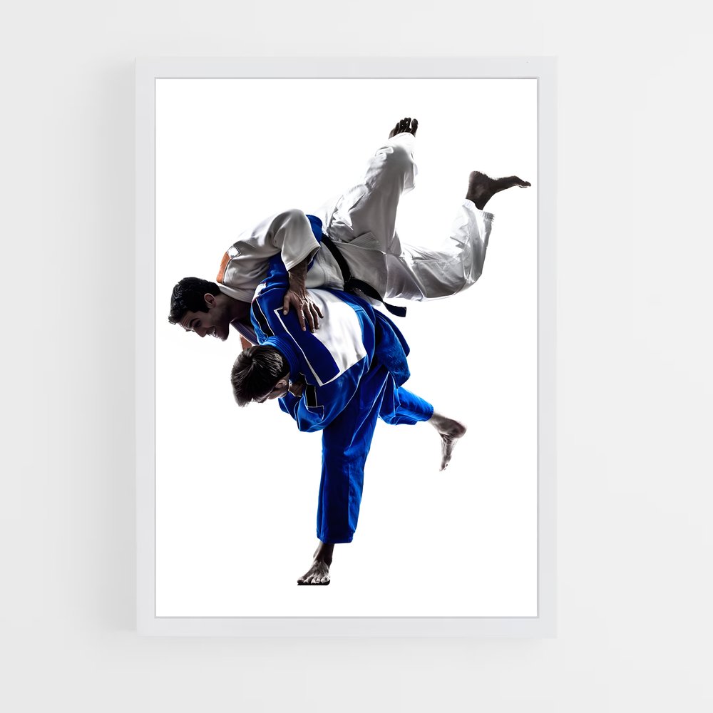 judo-12 cadre Blanc