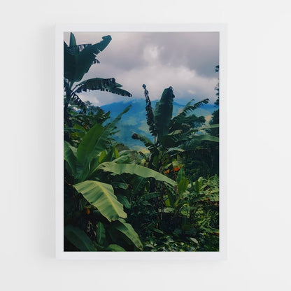 jungle-1 cadre Blanc
