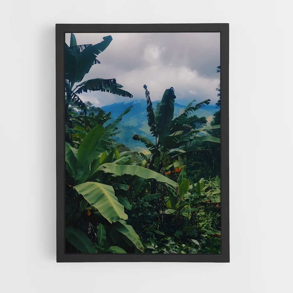 jungle-1 cadre Noir