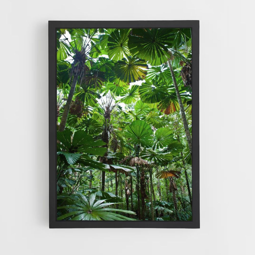 Poster Feuille Jungle