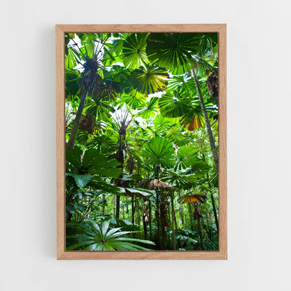 jungle-6 cadre Bois clair