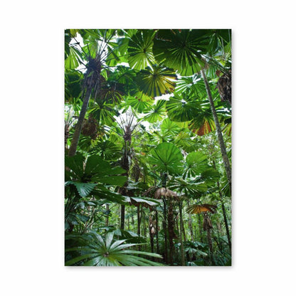 Poster Feuille Jungle