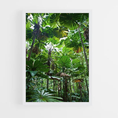 Poster Feuille Jungle