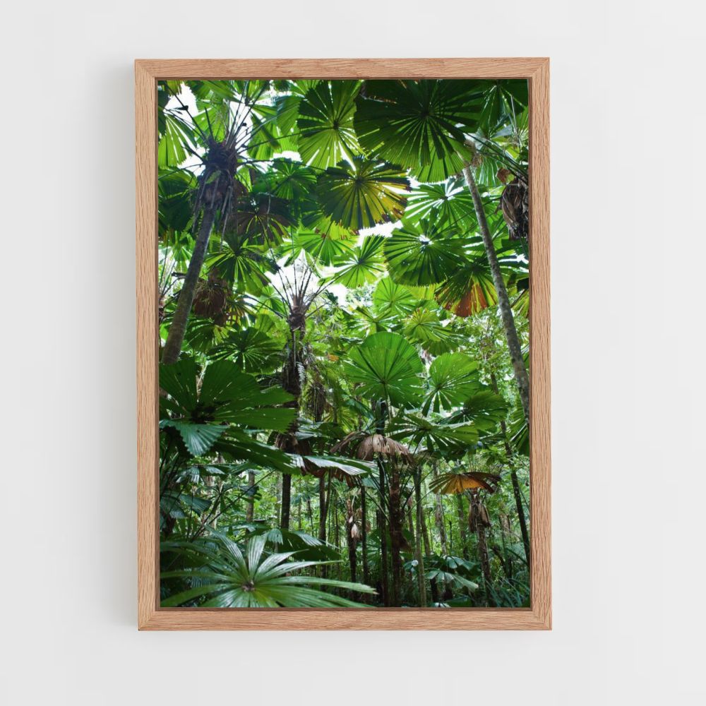 Poster Feuille Jungle