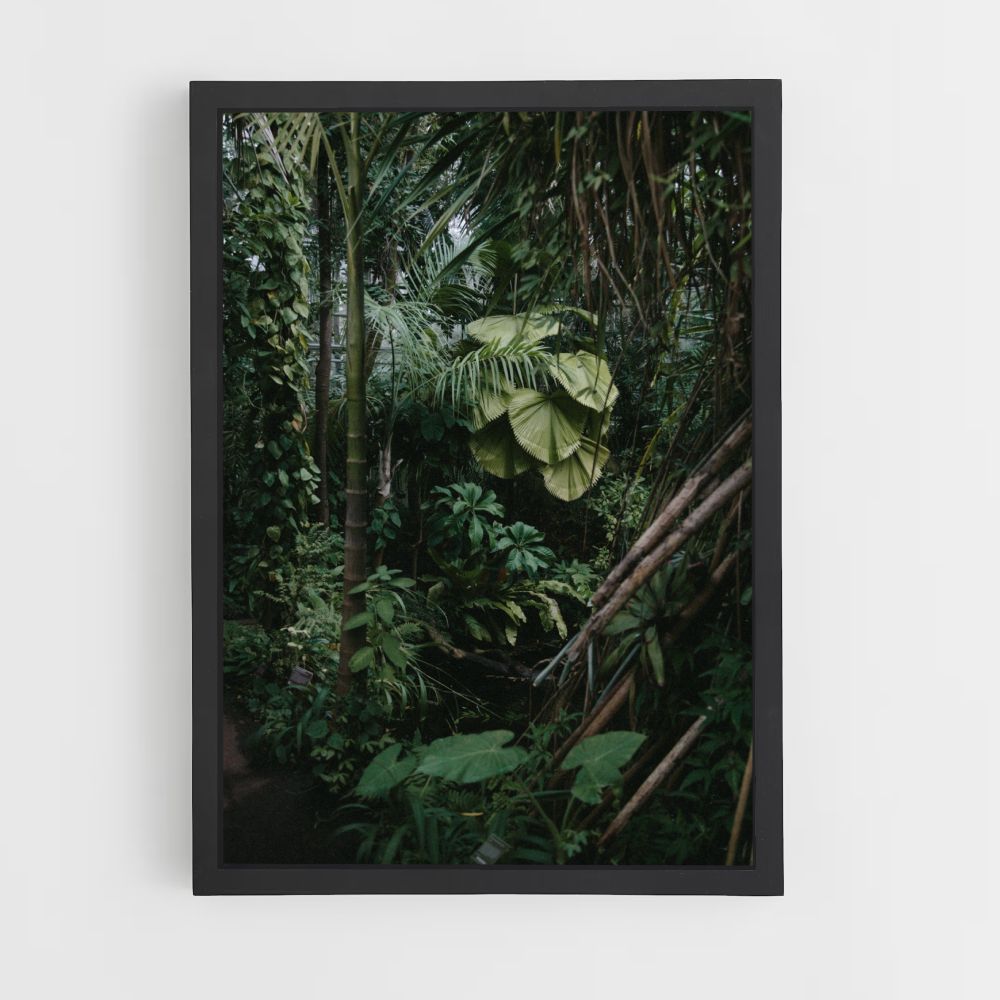 Poster Bamboo Jungle