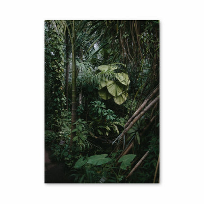 Poster Bamboo Jungle