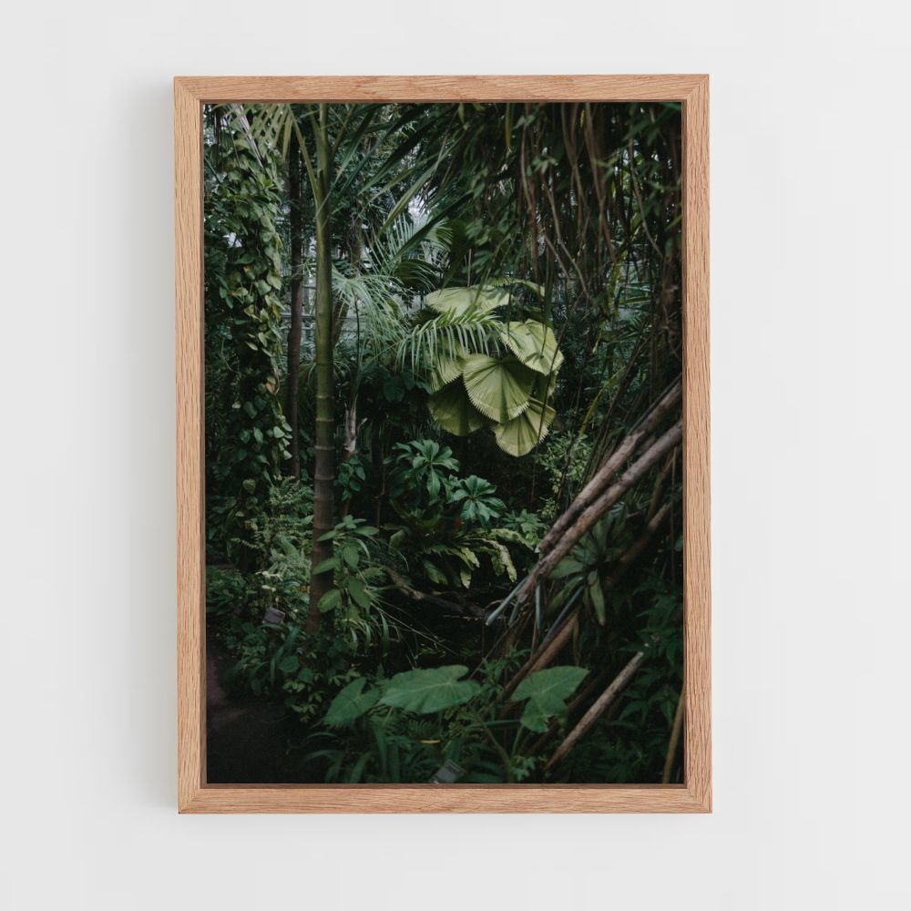 Poster Bamboo Jungle