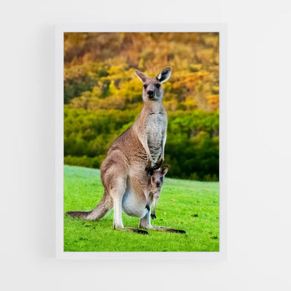 kangaroo-1 cadre Blanc