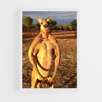 kangaroo-10 cadre Blanc