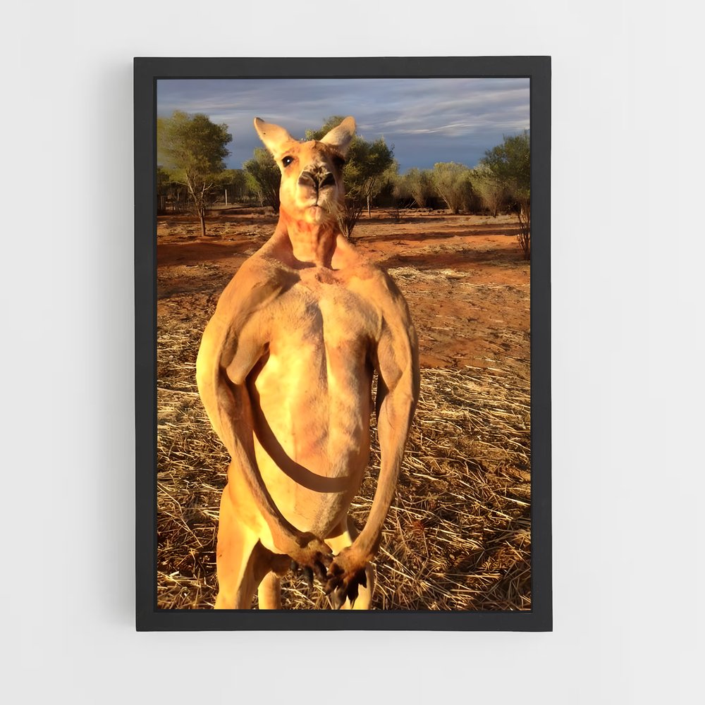 kangaroo-10 cadre Noir