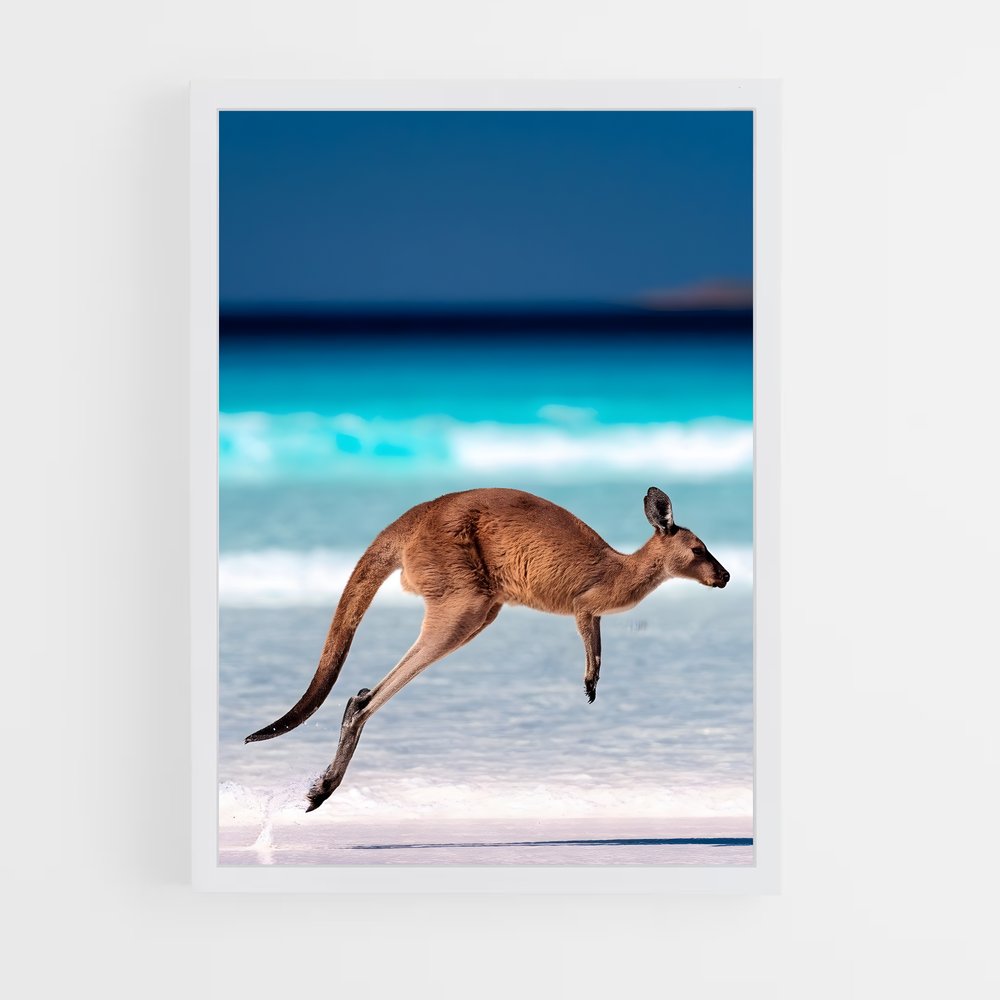 kangaroo-13 cadre Blanc
