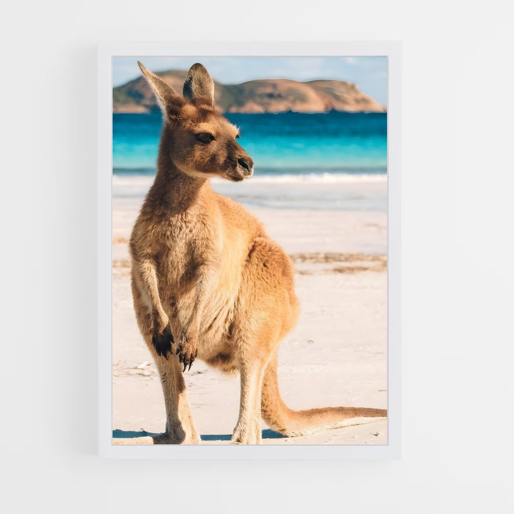 kangaroo-2 cadre Blanc