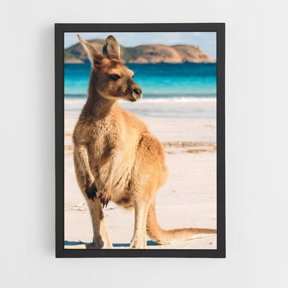 kangaroo-2 cadre Noir