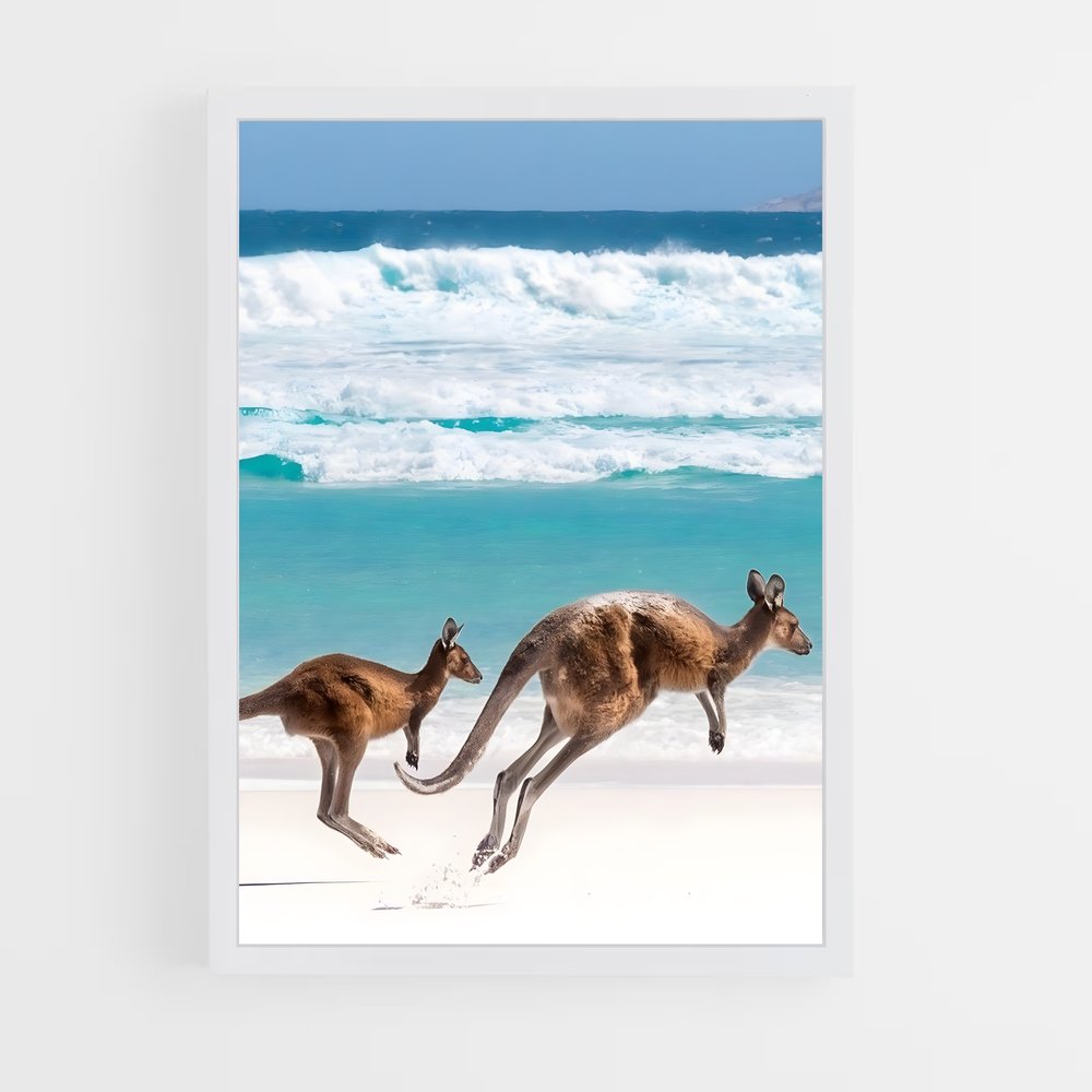 kangaroo-3 cadre Blanc