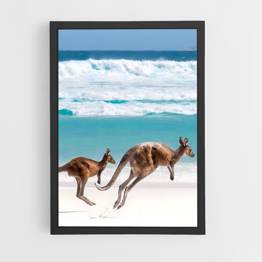 kangaroo-3 cadre Noir