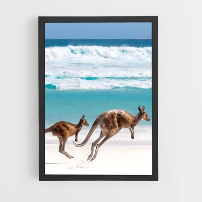 kangaroo-3 cadre Noir