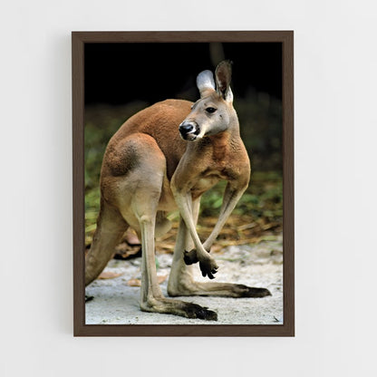 kangaroo-7 cadre Bois foncé