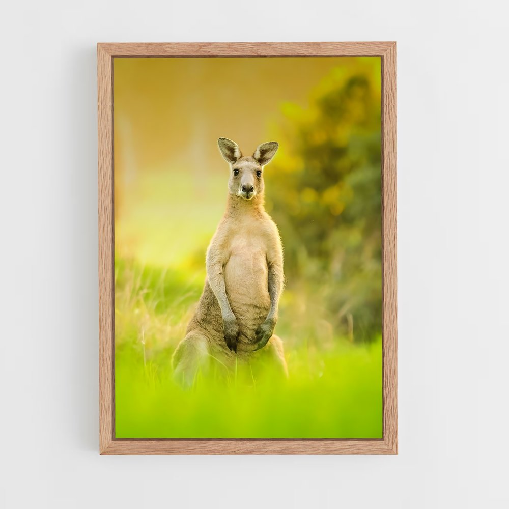 kangaroo-9 cadre Bois clair